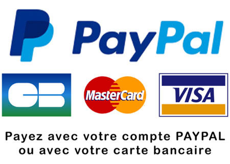 Logo Paypal